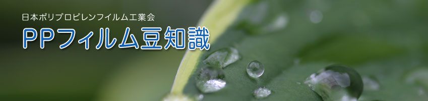 PP豆知識